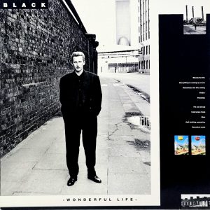 Wonderful Life (LP)