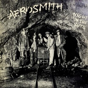 Night In The Ruts (LP)