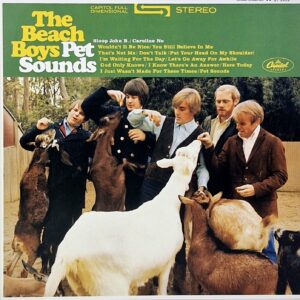 Pet Sounds (LP)