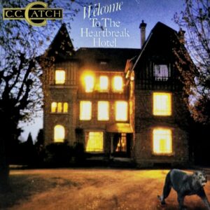 Welcome to the Heartbreak Hotel (LP)