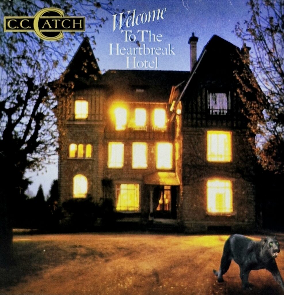 Welcome to the Heartbreak Hotel (LP)